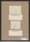 Stephanopyxis turris var. longicormis Grun. (de-Toni-Nr.: Genus 187, Species 4624) Zeichnungen Sammlung Grunow Nr. 8246 (NHMW-BOT-W0377640)